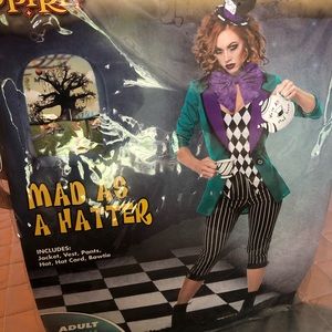 Mad as a Hatter Halloween costume